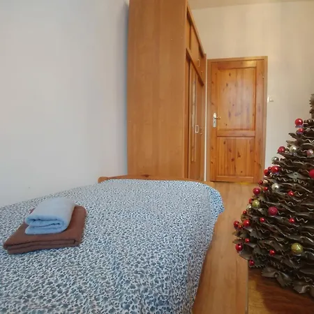 Near The Center Проживание в семье
